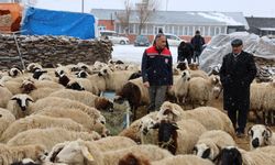 Arpaçay, Akçalar Köyü’nde yeni yılın ilk doğumları başladı