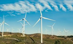 Rüzgar enerjisinde tarihi seviye: Günlük üretimde yeni rekor