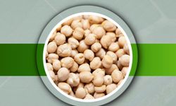 Başkan Dr. Özer Kasap: Nohut tohumu desteği başvuruları alınıyor