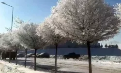 Tufanbeyli'de eksi 15 derecede kartpostallık manzara oluştu