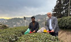 Hindistan’ın Türkiye Büyükelçisi Rize’de: Türkiye’ye gelince günde 7-8 bardak çay içiyorum