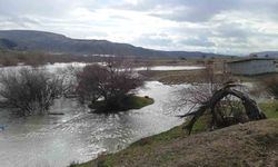 Beypazarı’nda sağanak yağmur sonrası ekili araziler sular altında kaldı