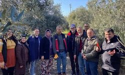 Antalya Serik’te meyve budama ve terbiye kursu verildi