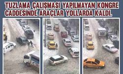 Ardahan'da yollar buz pistine döndü