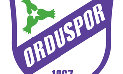 Orduspor 1967 A.Ş., Disiplin Soruşturmasıyla Karşı Karşıya!