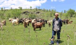 Tarım ve hayvancılık projelerinden 52 bin 359 üretici yaralandı