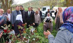 Burdur'da zeytin yetiştiriciliği projesi fidan dağıtımı yapıldı