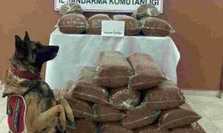 Antalya’da 230 kilogram kaçak tütün ele geçirildi