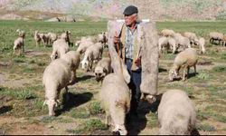 Antalya’da Yörüklerin yayla serüveni başladı