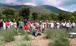 Kemer’de lavanta tanıtım etkinlikleri devam ediyor