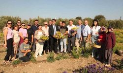 Çanakkale'de Hanımeli Projesi başarıyla sonuçlandı