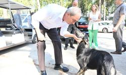 Köpek yakıldı iddialarına Kepez Belediyesi yanıt verdi!