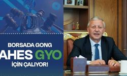 Borsada Gong AHES GYO için çalıyor