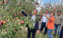 Isparta'da dolu zararı tespit çalışmaları sürüyor