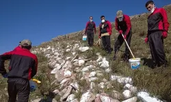 Ardahan'ın simgesi "Ayyıldız" dağındaki solmuş yazılar boyanmaya başlandı