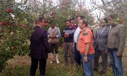 Isparta'da16 bin dekar elma bahçesi zarar gördü