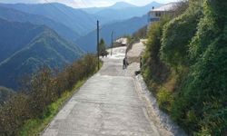 Altınordu'nun en uzak mahallesine ömürlük yol