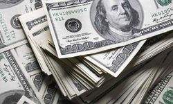 Dolar için endişelendiren tahmin!