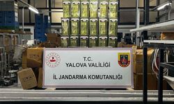 Yalova’da 33 ton sahte zeytinyağı ele geçirildi