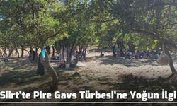 Siirt'te Pire Gavs Türbesi'ne Yoğun İlgi