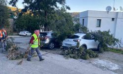 Bodrum Belediyesi ekipleri fırtına mesaisinde