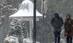 Soğuk hava ve kar yağışı nedeniyle dört ilde eğitime ara verildi