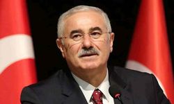 Mehmet Akarca, TBMM'deki seçimle Kamu Başdenetçisi seçildi