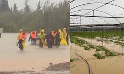 Antalya'da sel ve dolu seraları vurdu