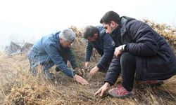 Isparta Belediyesi Gölcük Tabiat Parkı’nda fidanlar toprakla buluşturuldu