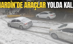 Mardin'de araçlara kar engeli