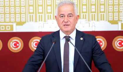 CHP’li Güneşhan'dan zeytinyağı alım fiyatlarına tepki