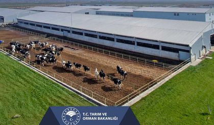 Tarım ve Orman Bakanlığı, çiftçilerin destek ödemesini hesaplarına aktarıyor