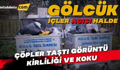 BOLU GÖLCÜK’TE ÇÖPLER TAŞTI