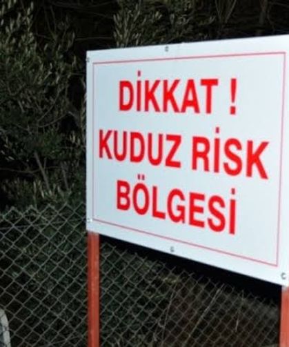 Adıyaman'da kuduz alarmı: Köseceli Beldesi karantinada!