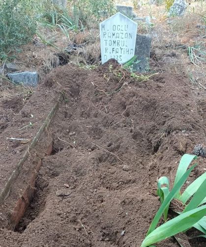Antalya’da yaban domuzları mezarlığa zarar verdi: Mahalle sakinlerinden önlem talebi