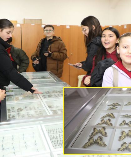 ISUBÜ Ziraat Fakültesi Böcek müzesinde 30 bin böcek örneği sergileniyor