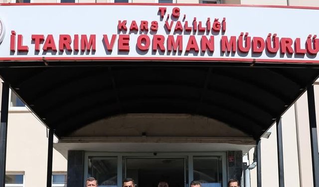 Kars'ta büyükbaş hayvan varlığı  604 bin 296