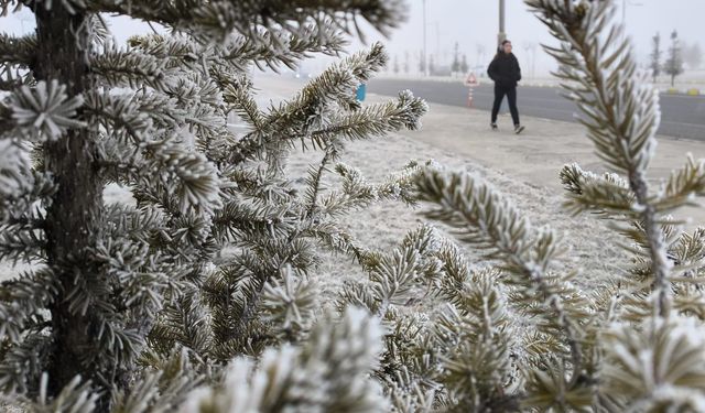 Kars’ta gece hava sıcaklığı eksi 20 derece olarak ölçüldü