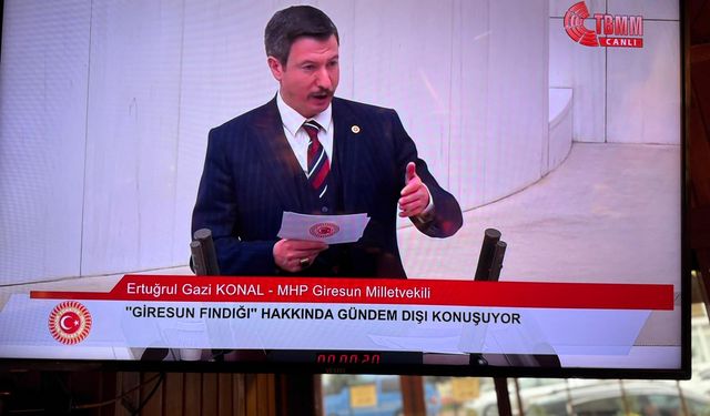 Ertuğrul Gazi Konal: Fındık gerekli desteği görmüyor