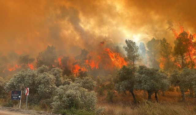 Balıkesir Dursunbey’de orman yangını