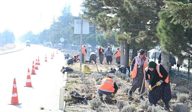 Isparta, gül ve lavanta ile bezeniyor