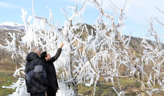 Amasyalı üreticiden dondan koruma için yenilikçi yöntem