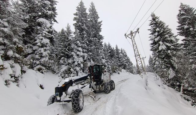 Ordu'da karla mücadele devam ediyor