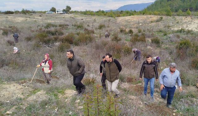 Bucak ormanında 2025 bakım programı çalışmaları denetlendi