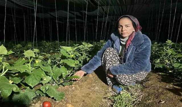 Kadın üreticilerin zorlu don nöbeti: Antalya’da salatalık üreticisi Songül Çimen’in mücadelesi