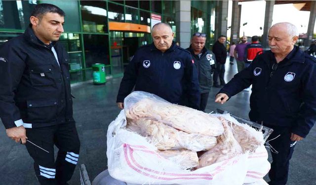 Şanlıurfa’dan Antalya’ya gönderilen 300 kilogram sakatata el konuldu