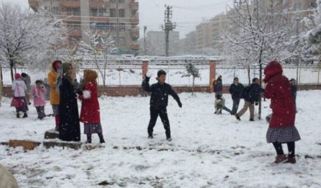 Van'da yoğun kar yağışı okulları tatil ettirdi