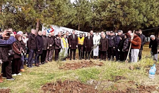 Beşikdüzü’nde fidanlar toprakla buluştu