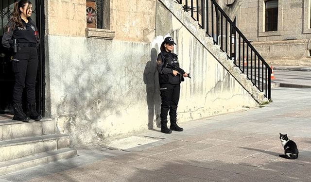 Polisleri Nöbette Yalnız Bırakmayan Kedi