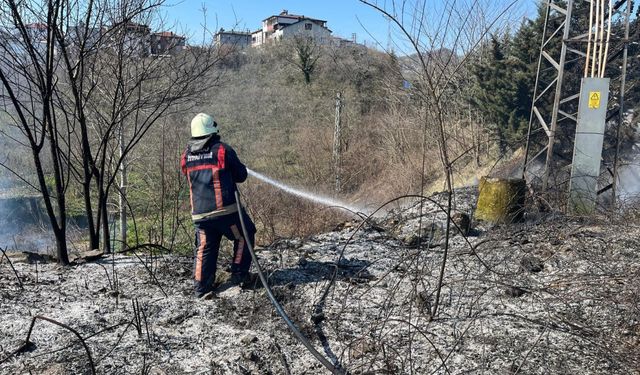 Ordu’da bahçe ve anız yangınları arttı